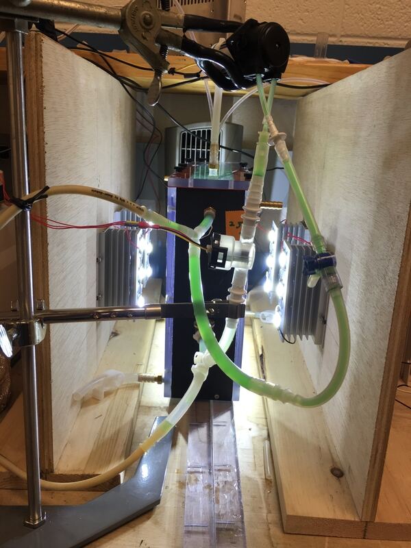 Sensor installed on reactor