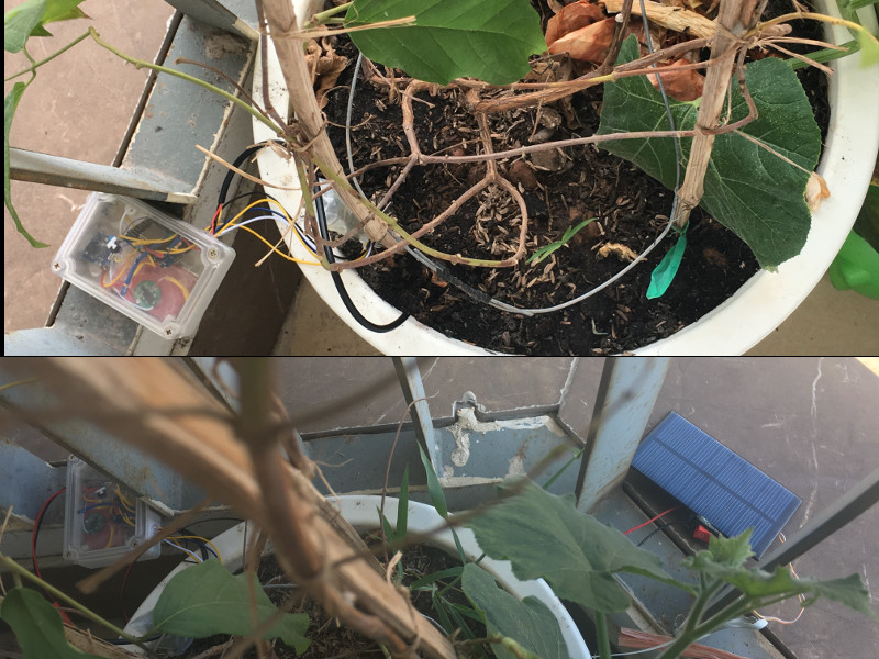 Sensor installed in pot